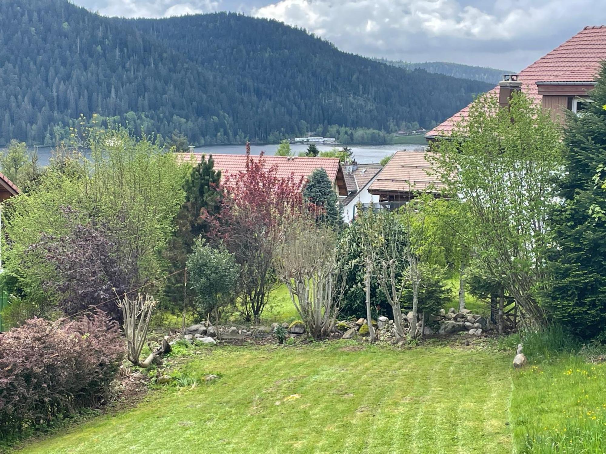 Le Chalet De Juliette Gerardmer Bagian luar foto